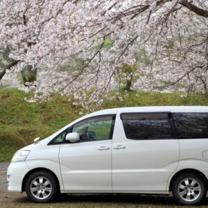 Minivan-type hearse