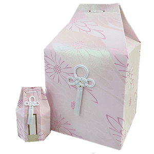Urn and box for storing bones